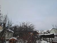 Olešná