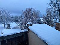Holice