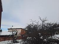 Olešná