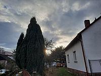 Olešná