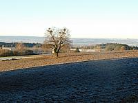 Němčice Zhoř