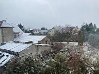 Holice