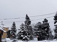 Lukovany