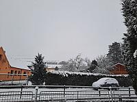 Olešná