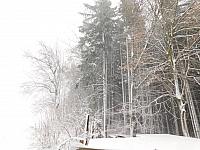 Němčice Zhoř