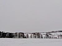 Světlá  Hora