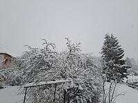 Olešná