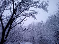 Žádovice