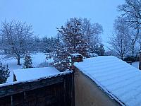 Holice