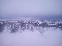 Žádovice