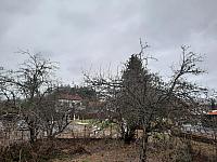Olešná