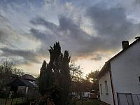 Olešná
