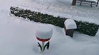 Holčovice