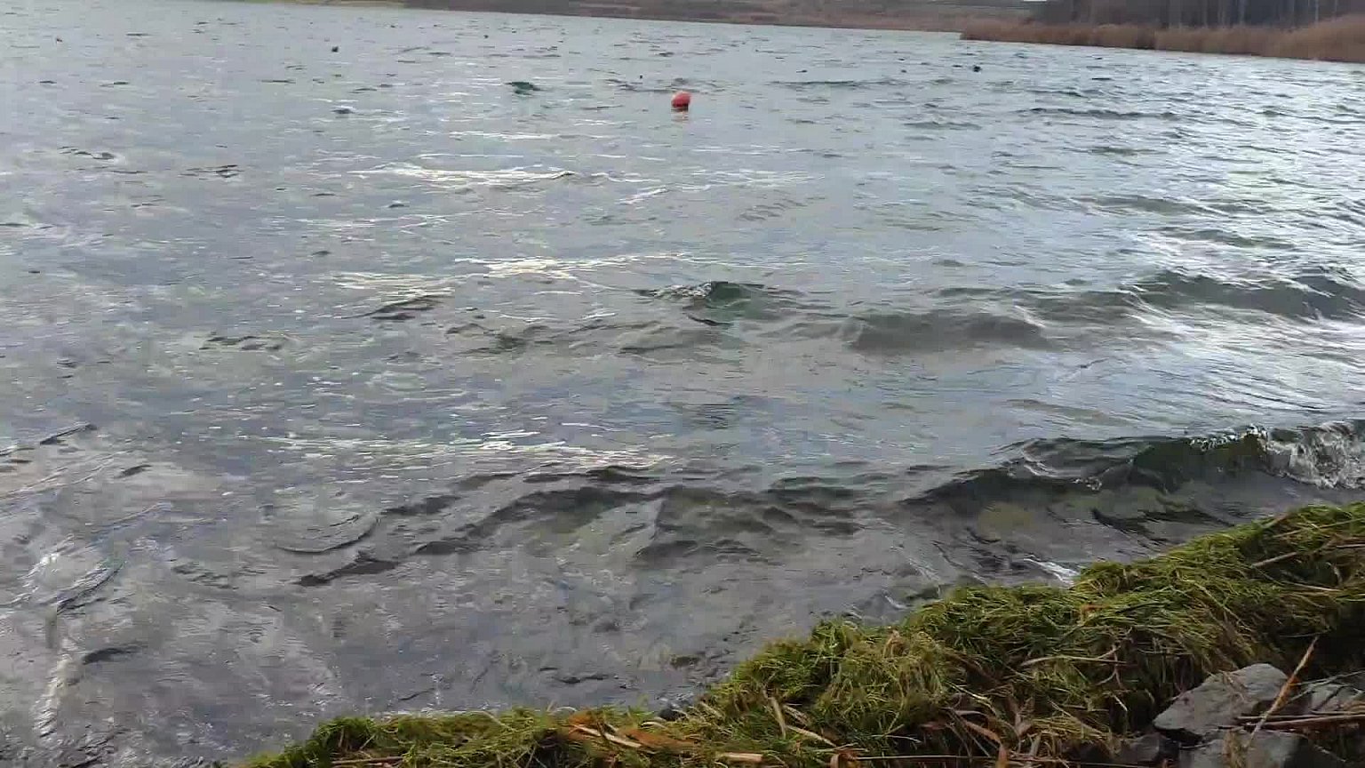 Most jezero 