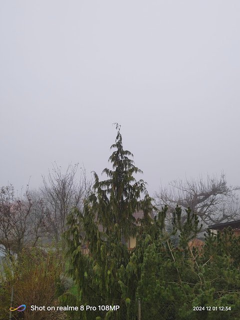 Třemošnice