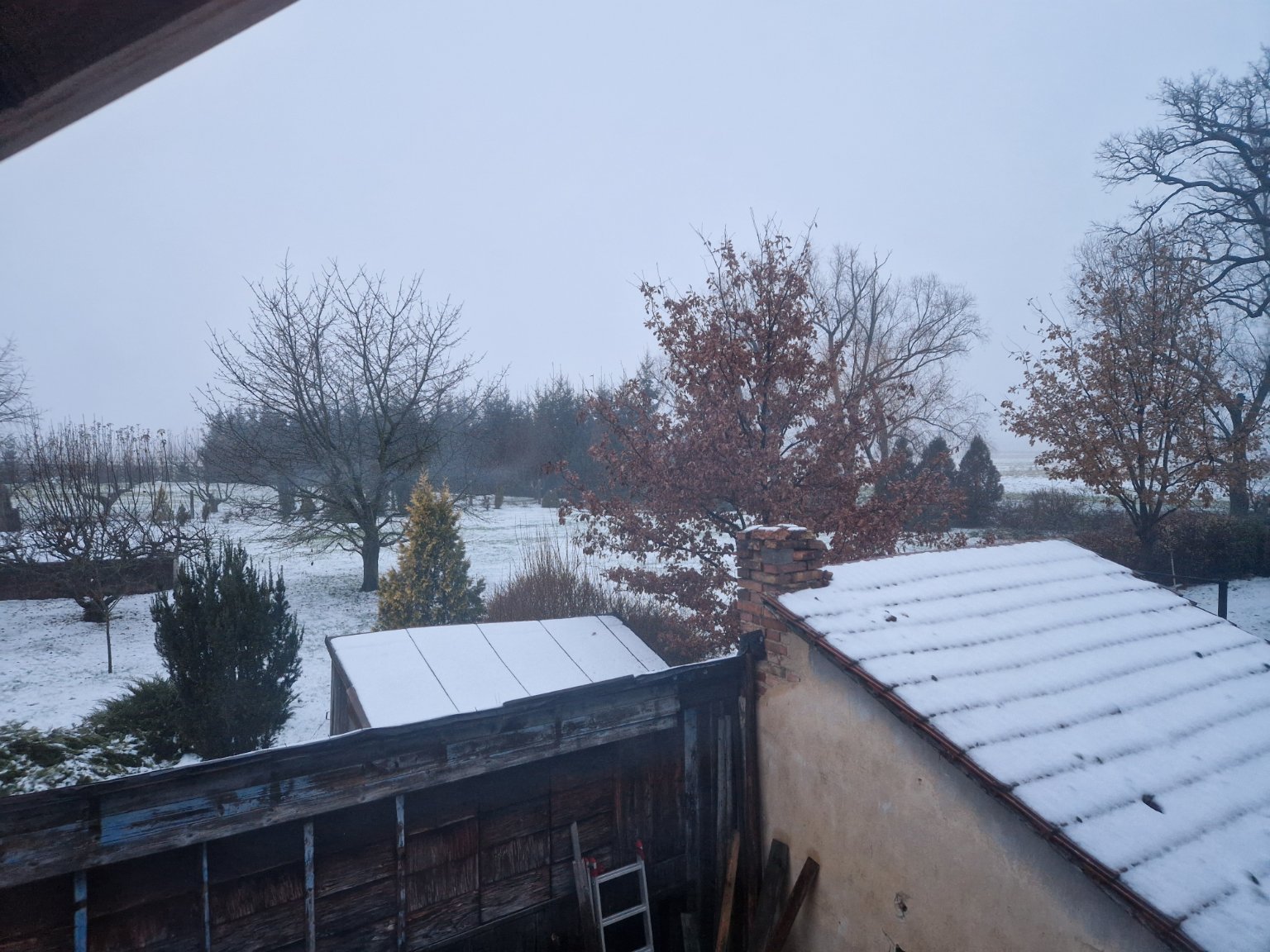 Holice