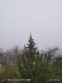 Třemošnice
