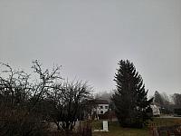 Olešná