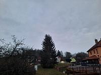 Olešná