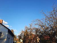 Olešná