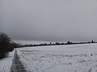 Rousínov