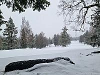 Svratka