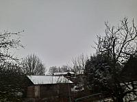 Olešná