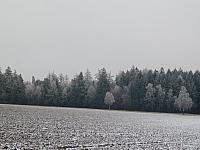 Němčice Zhoř