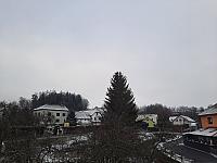 Olešná