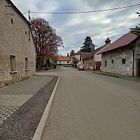 Třibřichy