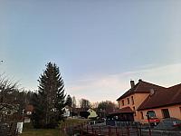 Olešná