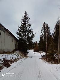 Oravská Lesná