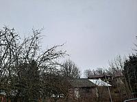 Olešná