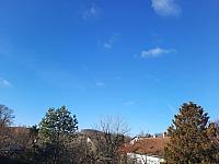 Olešná