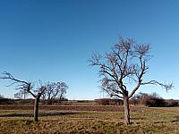 Lukovany