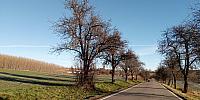 Lukovany