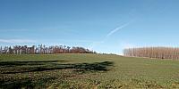 Lukovany