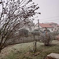 Třibřichy