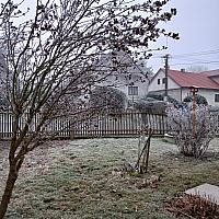 Třibřichy