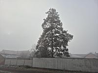 Císařov