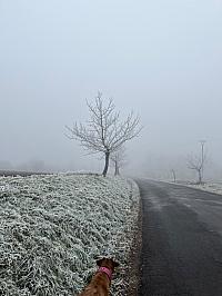 Český Brod