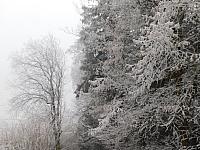 Němčice Zhoř