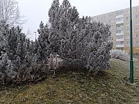 Spišská Bela