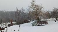Zajíčkov