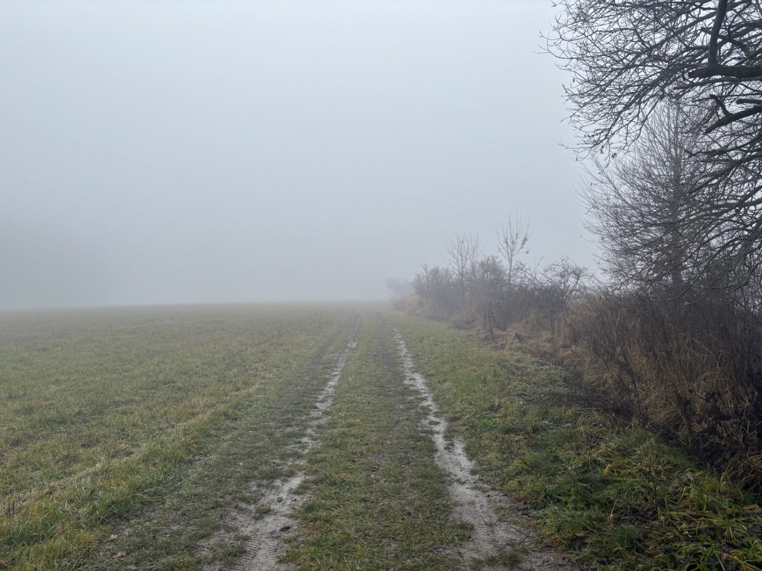 Nové Město na Moravě