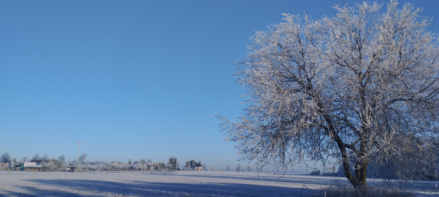 Benešov u Boskovic