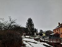 Olešná