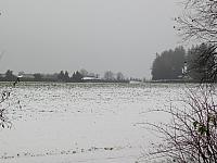 Němčice Zhoř