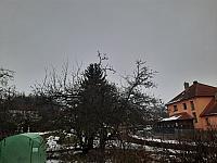 Olešná