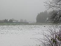 Němčice Zhoř